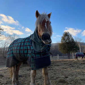 Meet your Posher, Emma